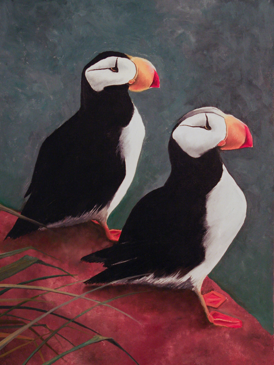 Oil painting of puffin birds. Painting by Emily Gerbig